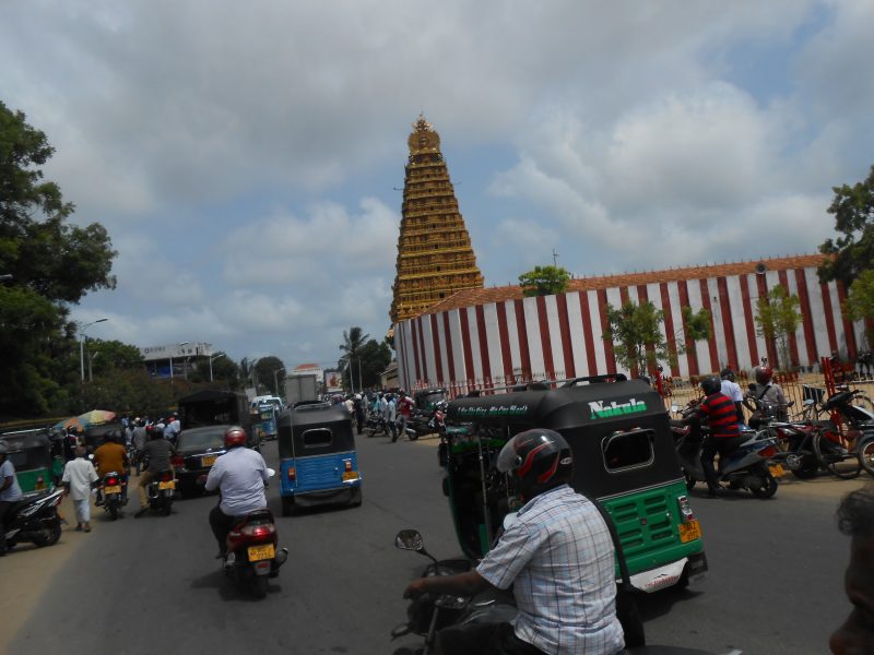 DSCN1594